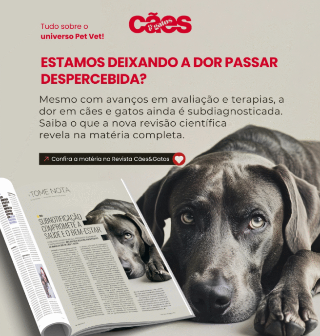 Revista Cães e Gatos destaca artigo na Revista Sociedade Científica Revista Cães e Gatos destaca artigo na Revista Sociedade Científica